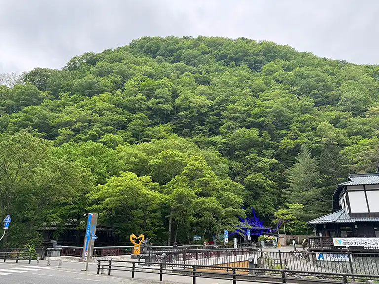 縄文の波動、神秘の龍泉洞(岩手県)