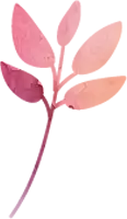花のあしらい