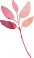 花のあしらい
